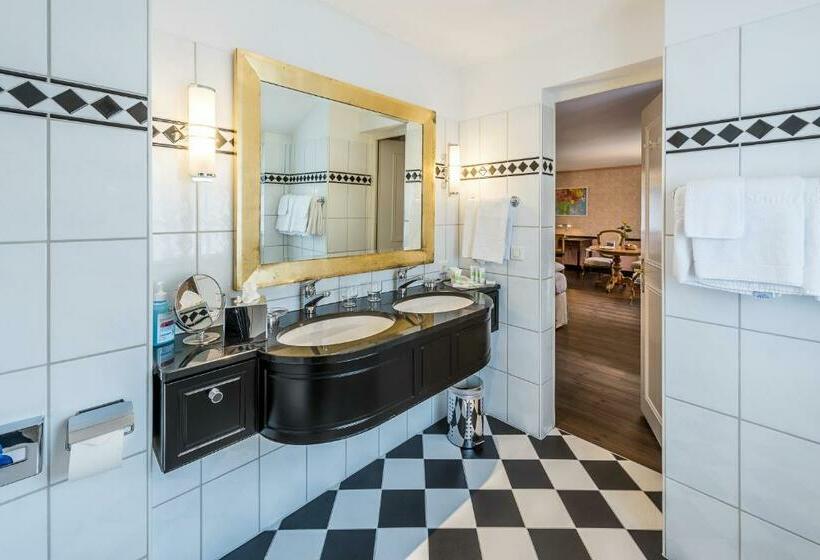 Номер Стандарт с доступом в Спа, Kurhotel Im Park