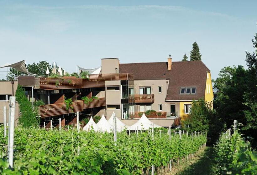 Полулюкс с Балконом, Weingartenhotel Harkamp Südsteiermark