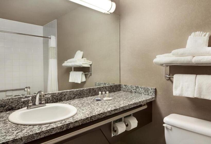 Люкс Superior, Days Inn By Wyndham Regina
