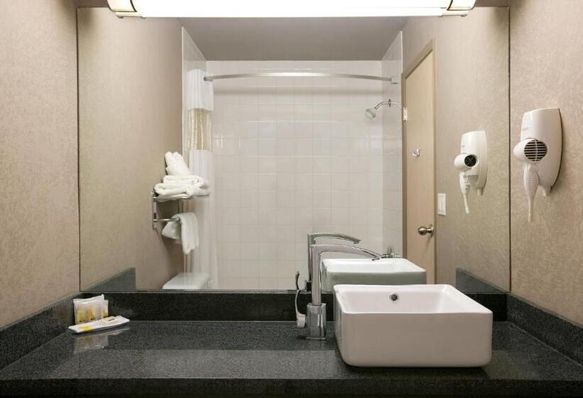 Номер Deluxe Адаптированный для Инвалидов, Days Inn By Wyndham Regina