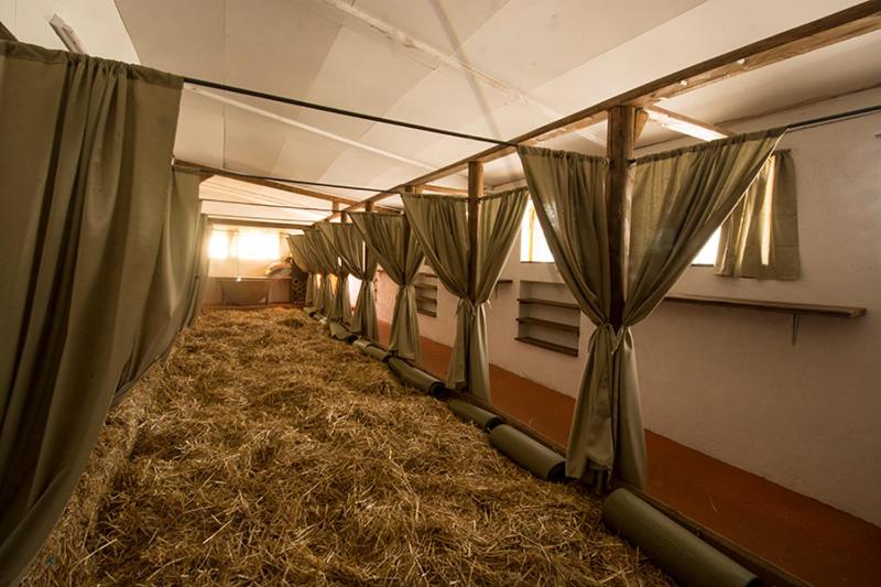 Кровать в Общей Комнате, Agriturismo La Finca