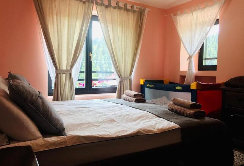 带1个卧室带观景的公寓, Kutsinska House