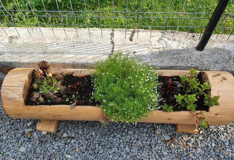 Вилла 1 Спальня, Pensiune Agroturistică Casa Alex