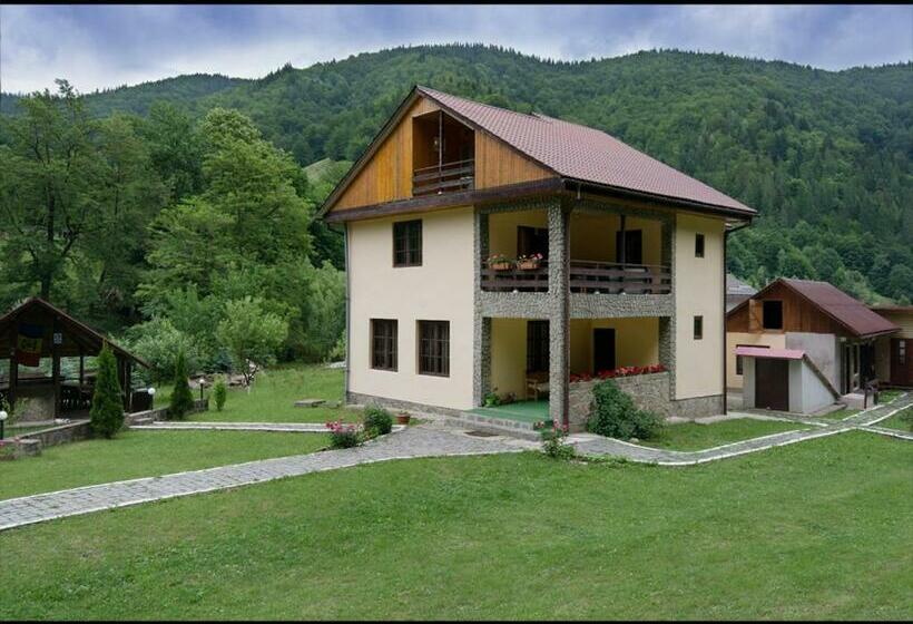 Номер Стандарт Вид на Горы, Pensiunea Bobu