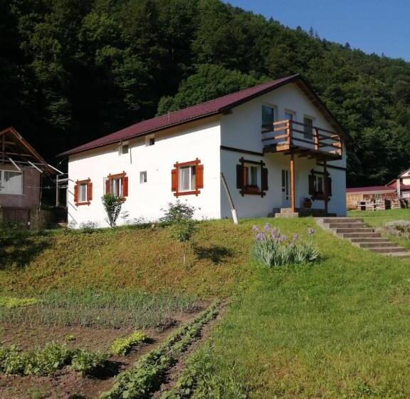 듀플렉스 스위트, Pensiunea Bobu