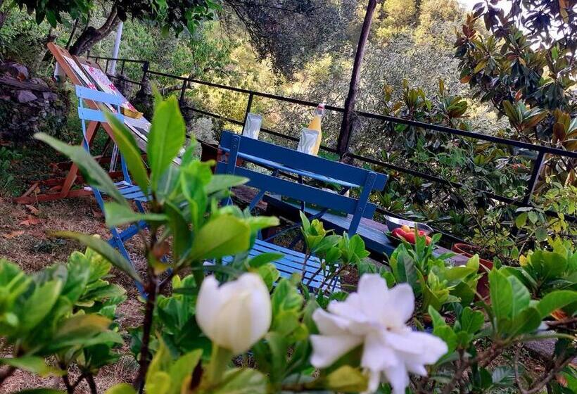 غرفة قياسية, B&b I Glicini