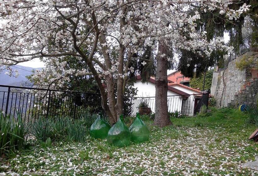 Семейный Номер, B&b I Glicini