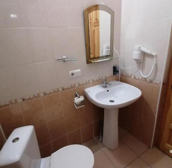 Номер Economy, Girska Tysa Health Resort