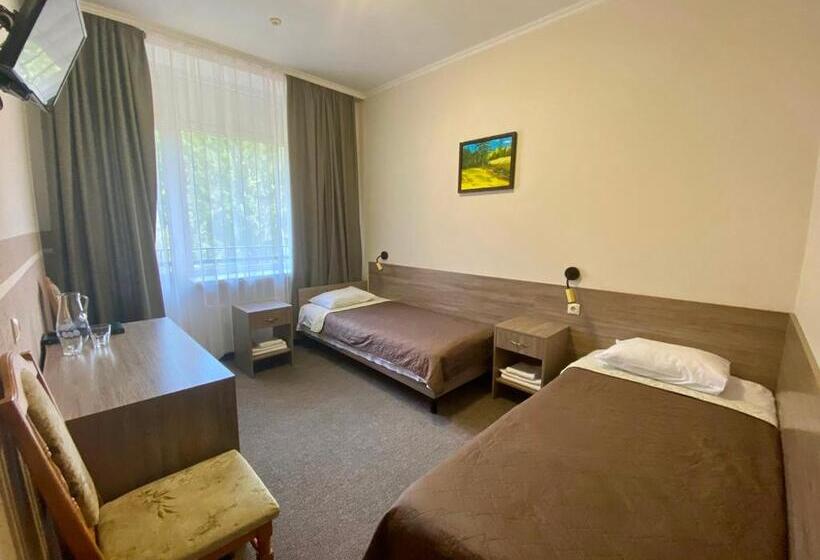 Номер Стандарт с Балконом, Girska Tysa Health Resort
