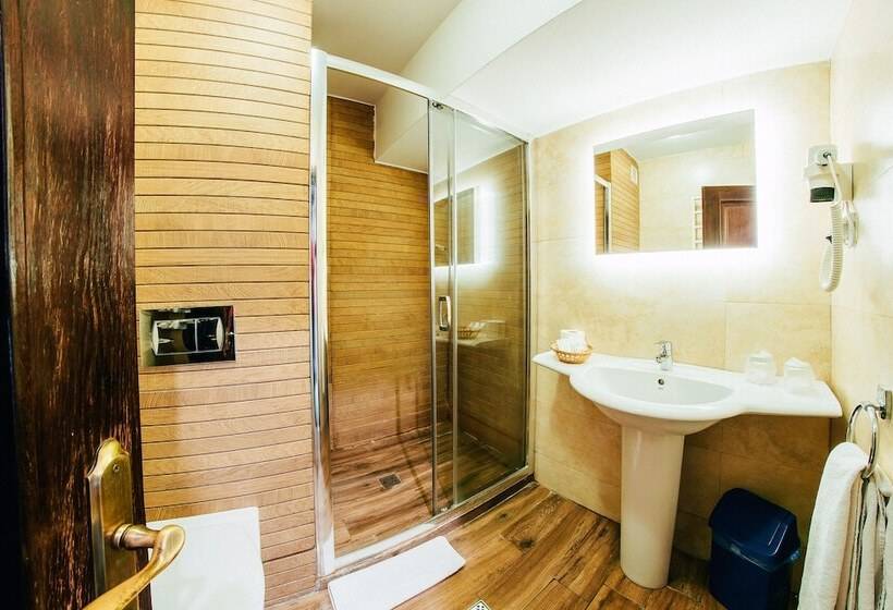 חדר סטנדרט, Best Western Bucovina Club De Munte