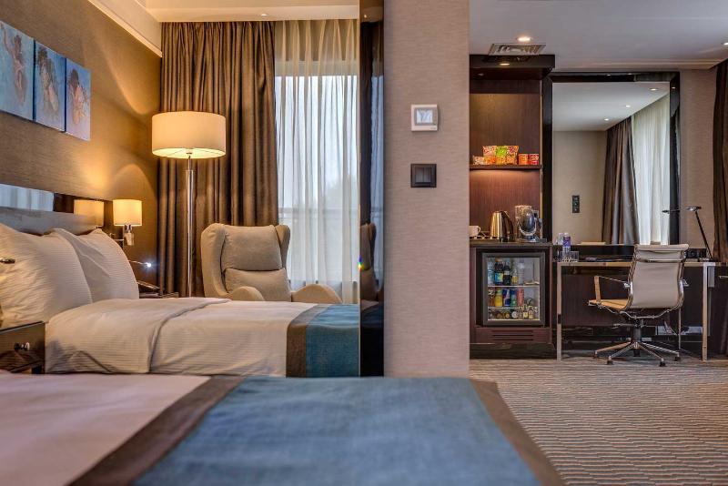 اتاق کلاس بیزنس, Radisson Blu Leogrand