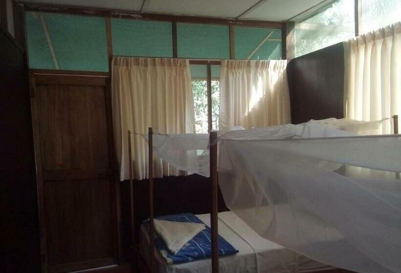 اتاق استاندارد یک نفره, Don Jaime   Hostel