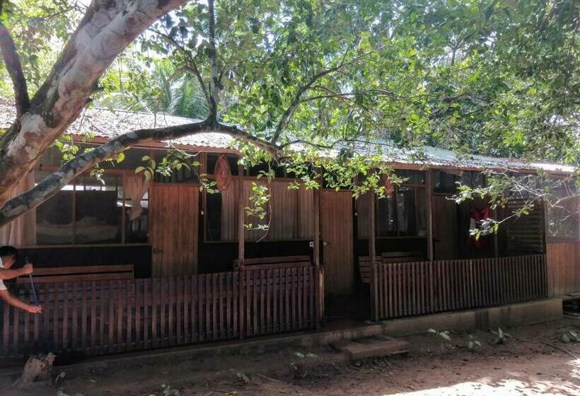 اتاق استاندارد یک نفره, Don Jaime   Hostel