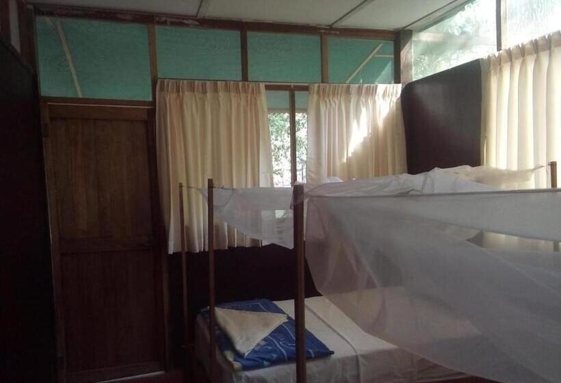 اتاق استاندارد, Don Jaime   Hostel