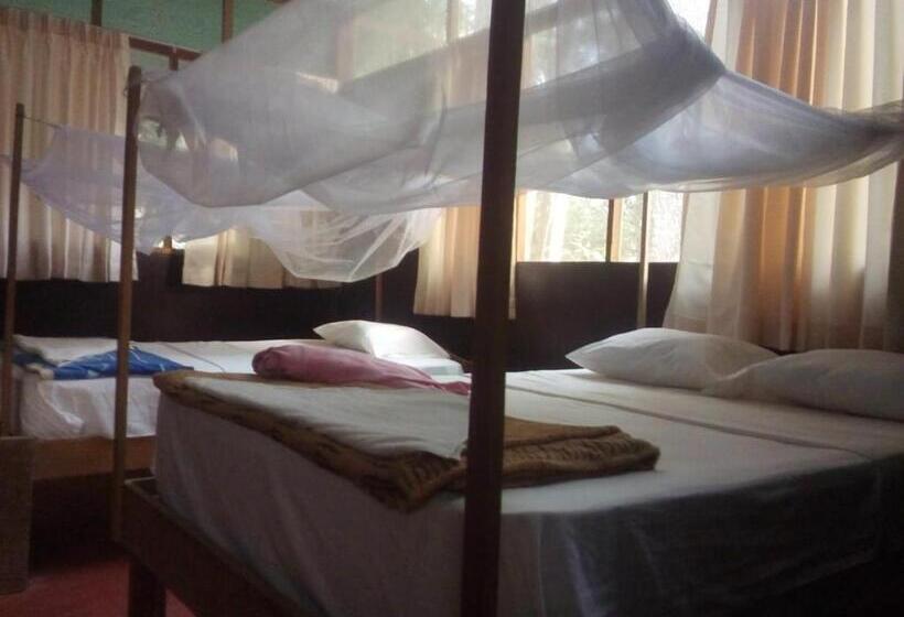 اتاق استاندارد سه نفره, Don Jaime   Hostel