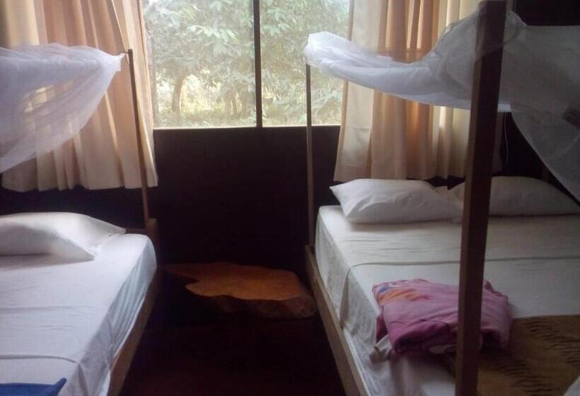خانه 3 خوابه, Don Jaime   Hostel