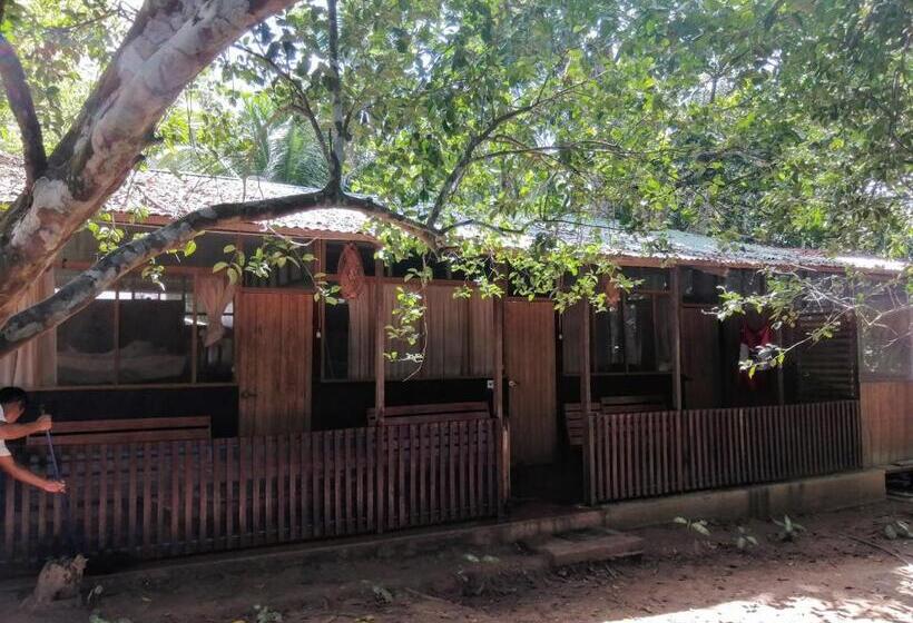 تختخواب در اتاق مشترک, Don Jaime   Hostel
