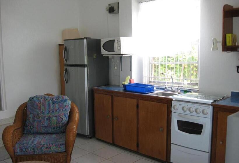 اتاق استاندارد, Apartment Espoir