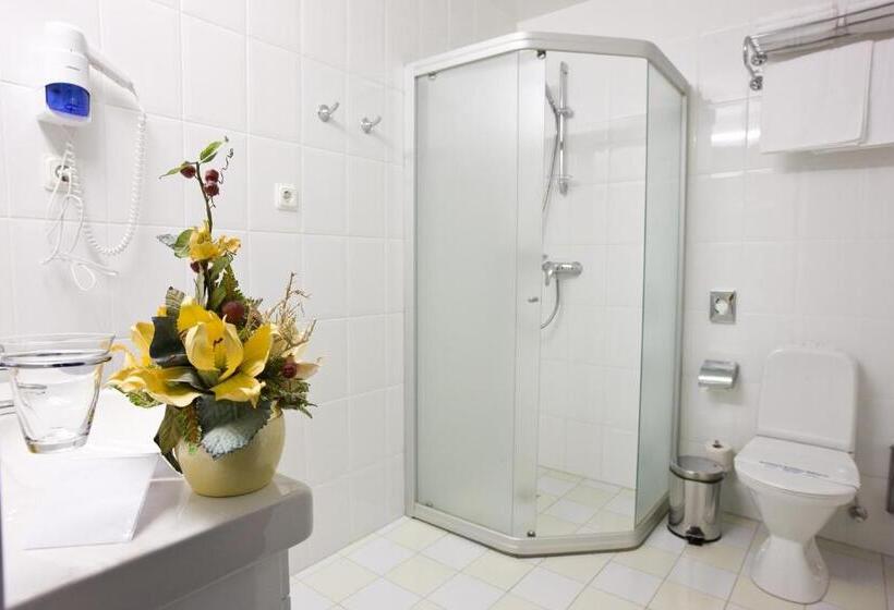 اتاق استاندارد یک نفره, Best Baltic Kaunas