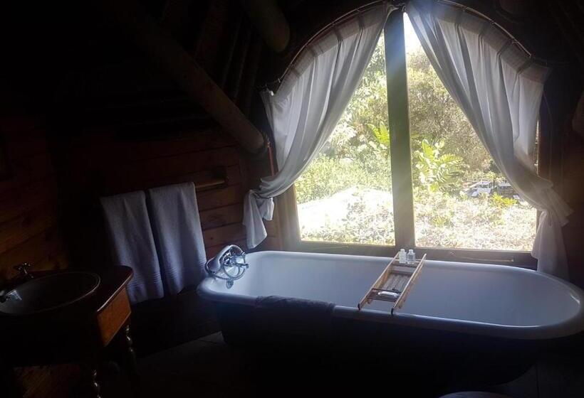 Номер Deluxe, Monkey Valley Resort