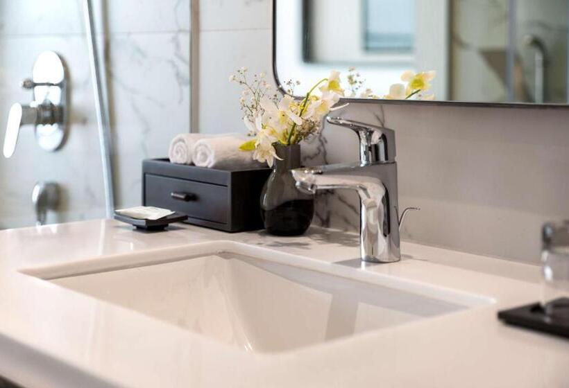 اتاق کلاب, Radisson Hotel Jalandhar