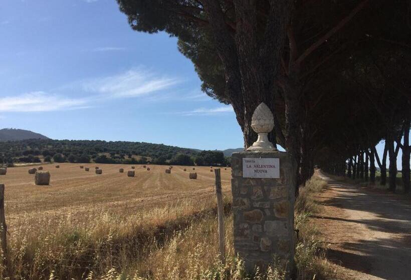 Апартаменты 2 Спальни, Agriturismo La Valentina Nuova