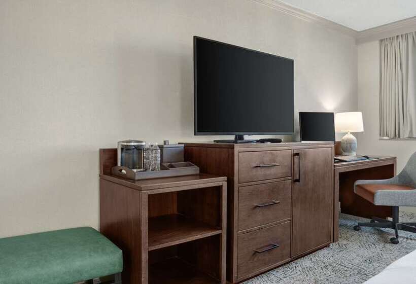 اتاق سوپریور با تخت بزرگ, Hilton Paris La Defense