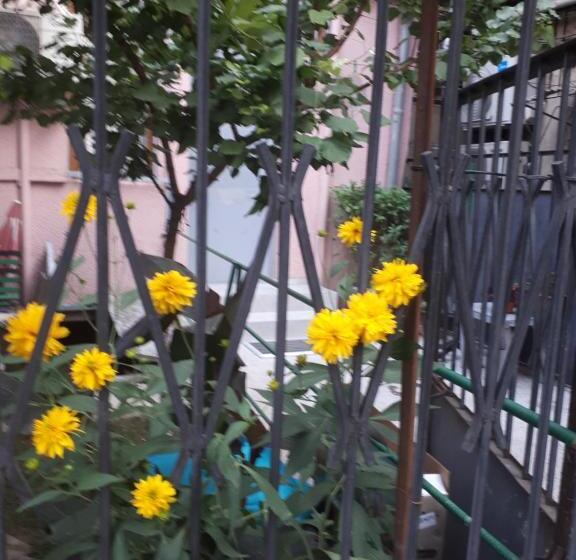 آپارتمان 1 خوابه, Agmashenebeli95