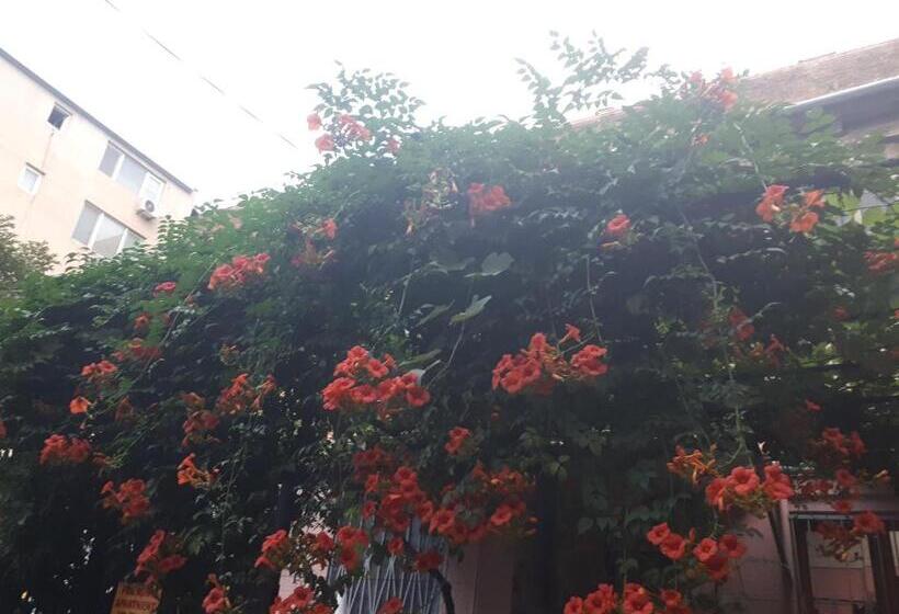 آپارتمان 1 خوابه, Agmashenebeli95