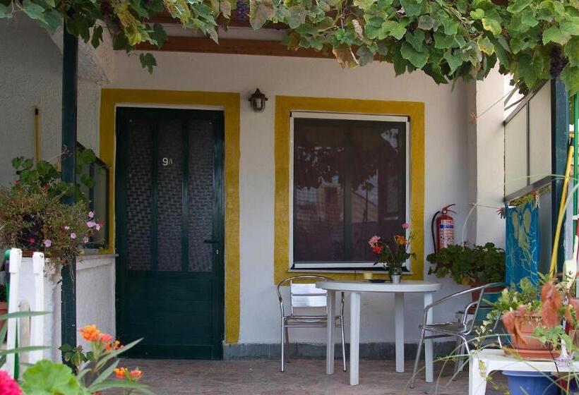 스탠다드 싱글 룸 바다 전망, Corfu Andromaches Holiday Apartments