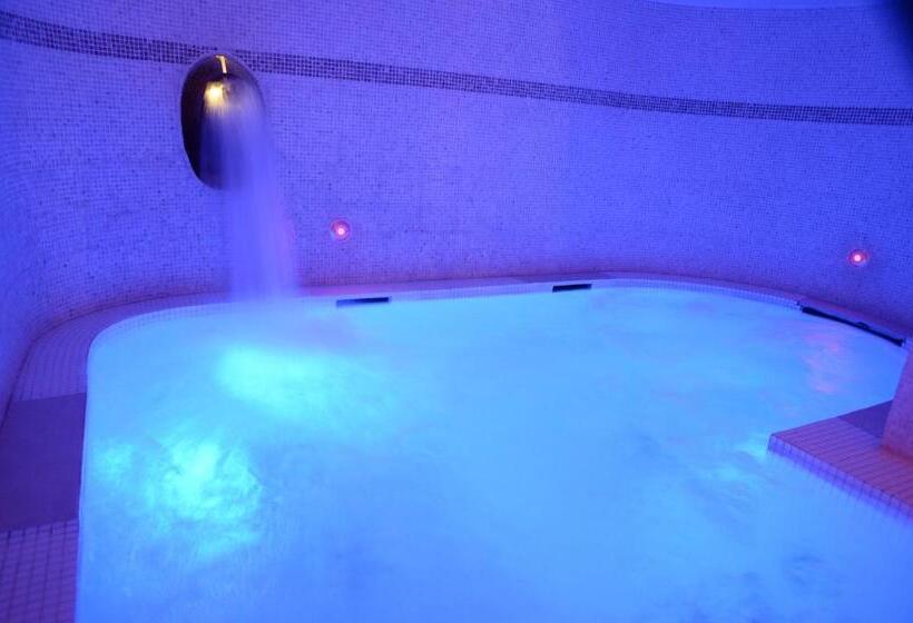 اتاق استاندارد با دسترسی به اسپا, Trilussa Palace Hotel Congress & Spa