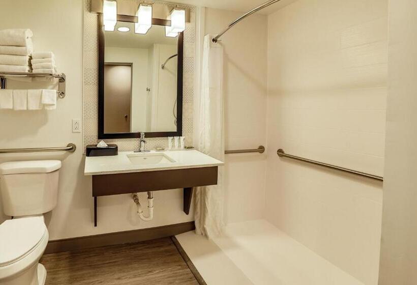 Sviitti Liikuntarajoitteisille, Country Inn & Suites By Radisson, Nashville Airport, Tn