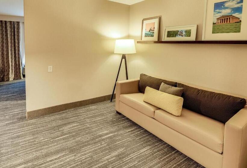 Deluxe Suite King Bed, Country Inn & Suites By Radisson, Nashville Airport, Tn