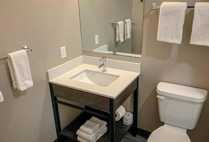 스탠다드 룸 킹사이즈 침대, Studio 6 North Platte  East