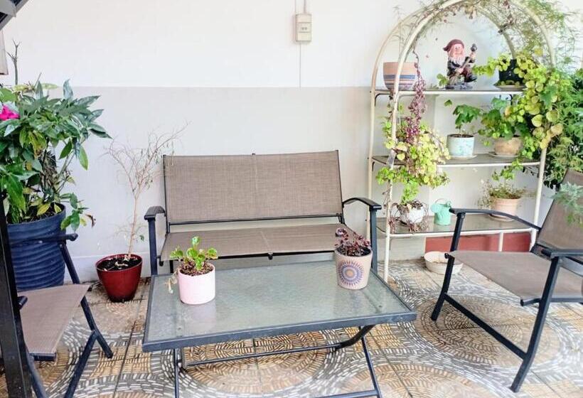 标准单人间, Hostal Alcala