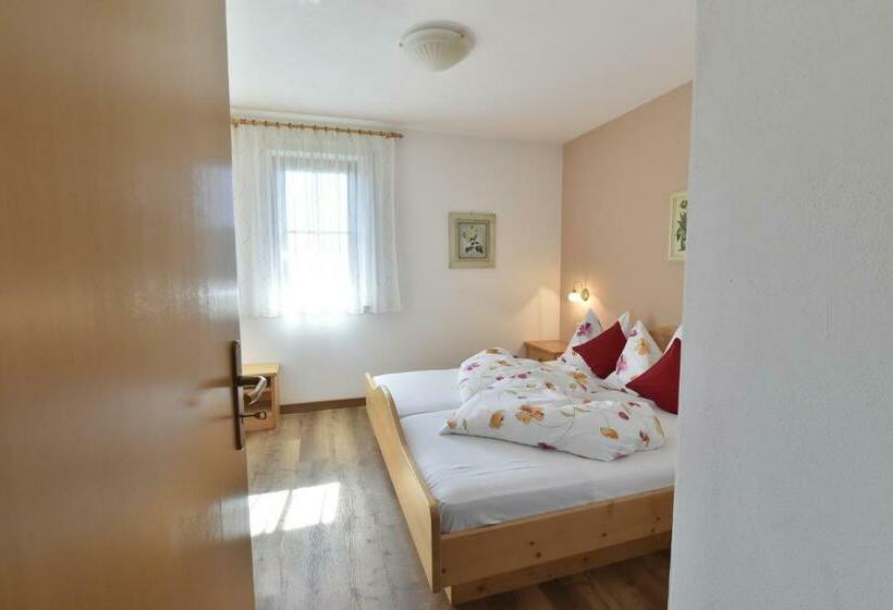 バルコニー付き１ベッドルームアパートメント, Appartements Lenzenhof