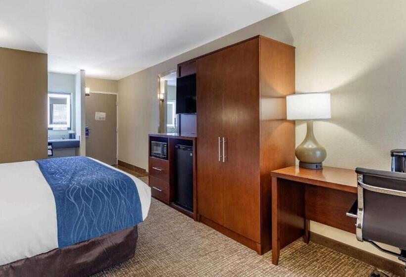Pokój Standard Łóżko King Size, Comfort Inn Nashville  Opryland Area