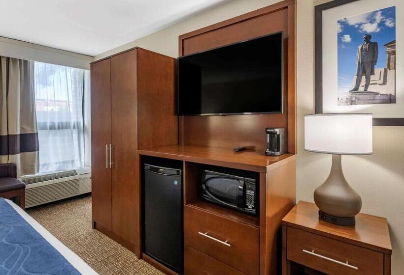 Pokój Typu Standard Łóżko King Przystosowany dla Osób Niepełnosprawnych, Comfort Inn Nashville  Opryland Area