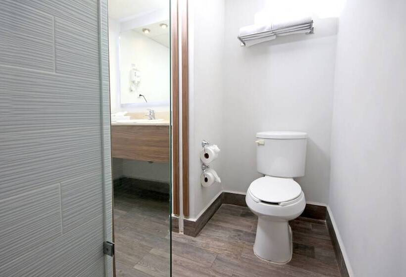 اتاق استاندارد, Voco Hermosillo, An Ihg