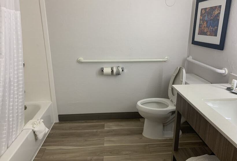 اتاق استاندارد با تخت بزرگ برای معلولان, La Quinta By Wyndham Okc North   Quail Springs