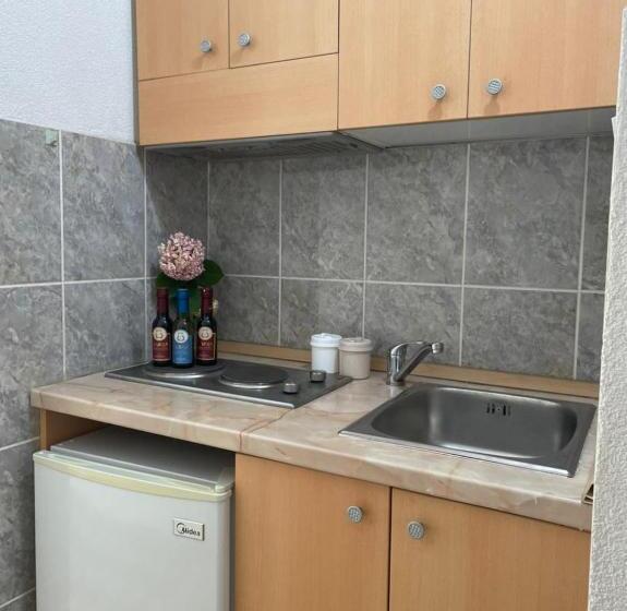 استودیو استاندارد با تراس, Jelić Apartmani