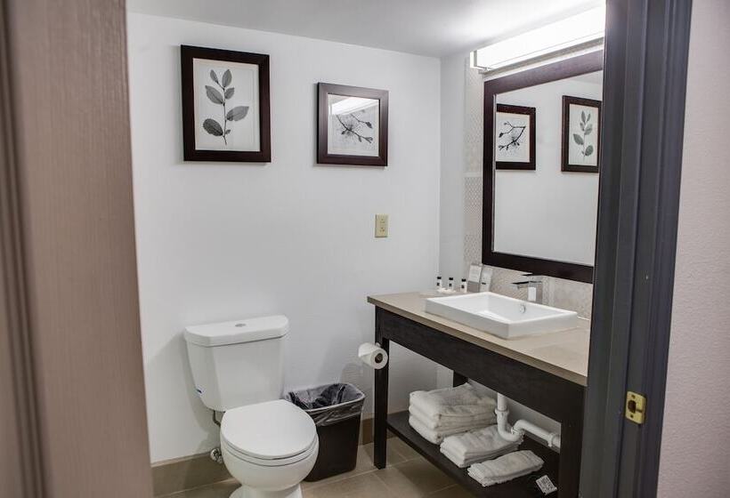 Стандартный Номер Кровать Кинг, Country Inn & Suites By Radisson, Harlingen, Tx