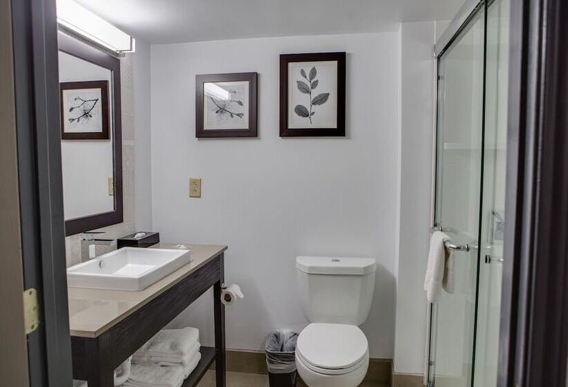 Люкс, Country Inn & Suites By Radisson, Harlingen, Tx