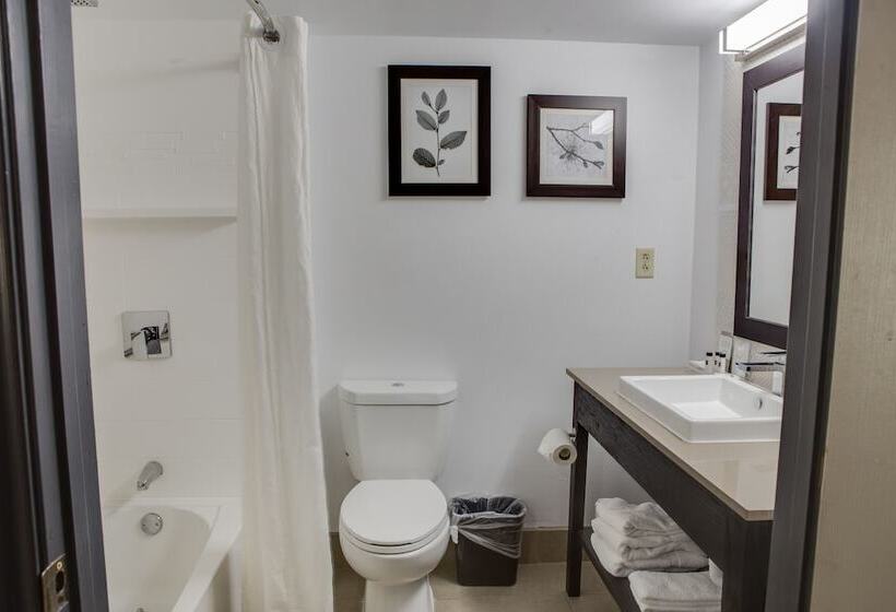 Люкс Премиум, Country Inn & Suites By Radisson, Harlingen, Tx