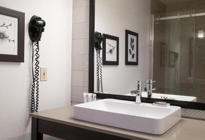 Номер Стандарт Кровать Кинг Адаптированный для Инвалидов, Country Inn & Suites By Radisson, Platteville, Wi