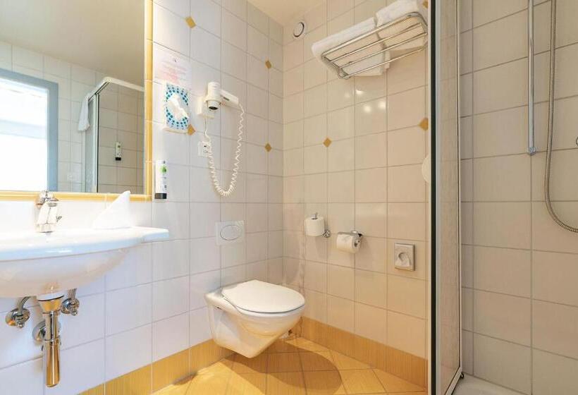 Номер Стандарт, Hôtel Des Arts