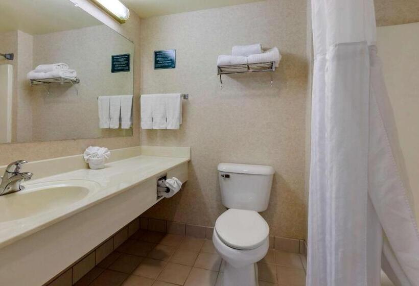 스탠다드 룸, Clarion Suites At The Alliant Energy Center
