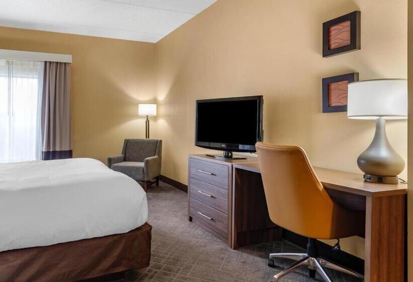 Номер Стандарт Кровать Кинг Адаптированный для Инвалидов, Comfort Inn & Suites At Stone Mountain