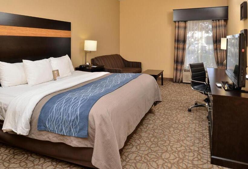 Стандартный Номер Кровать Кинг, Comfort Inn & Suites At Stone Mountain