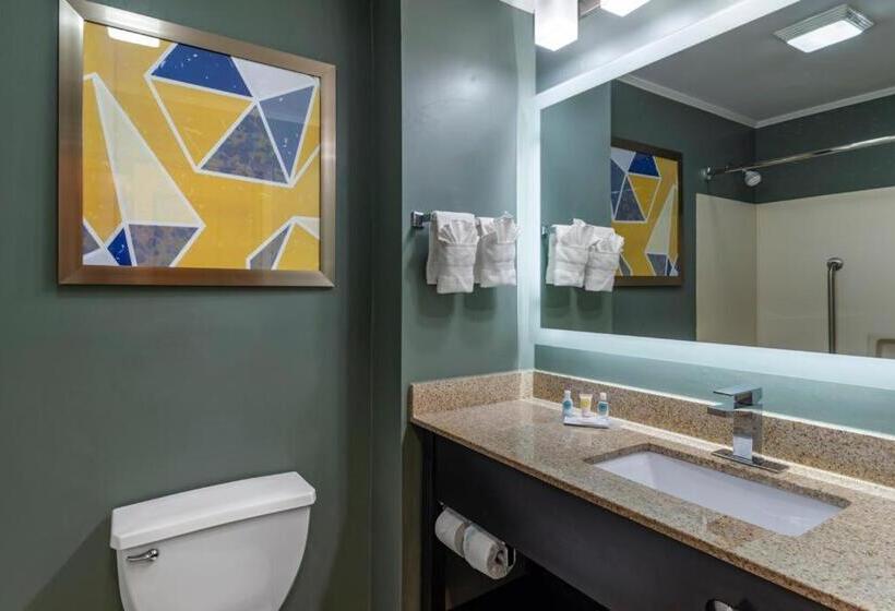 Стандартный Номер Кровать Кинг, Comfort Inn & Suites At Stone Mountain